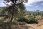 Terreno no urbanizable en venta en la España, L'Olleria, ref: TR138316 foto