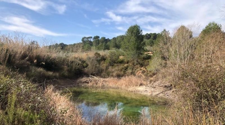 Valencia - Ollería - 212842m2