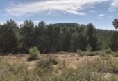 Terreno no urbanizable en venta en la España, L'Olleria, ref: TR138316 foto