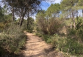 Terreno no urbanizable en venta en la España, L'Olleria, ref: TR138316 foto