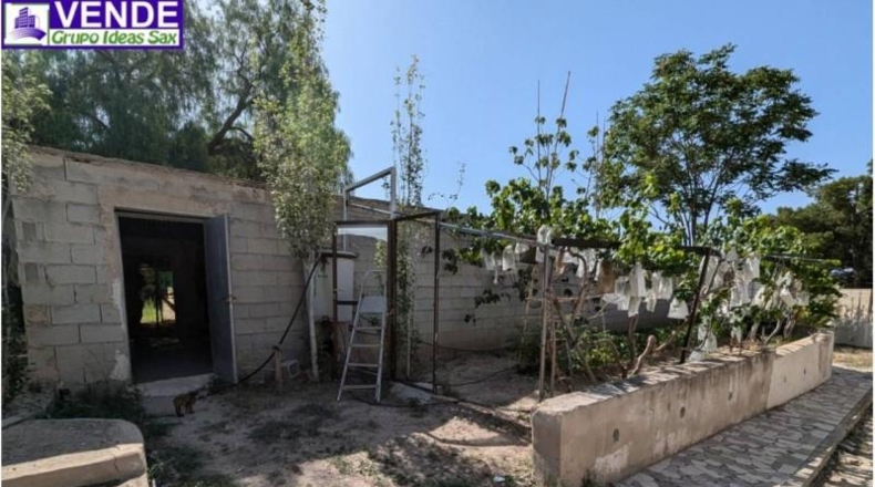 Alicante - Petrer - 8000m2