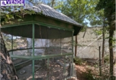 Casa de camp amb terreny en venda a la España, Petrer, ref.: TR170162 foto