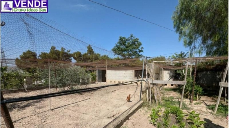 Alicante - Petrer - 8000m2