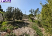 Casa de camp amb terreny en venda a la España, Petrer, ref.: TR170162 foto