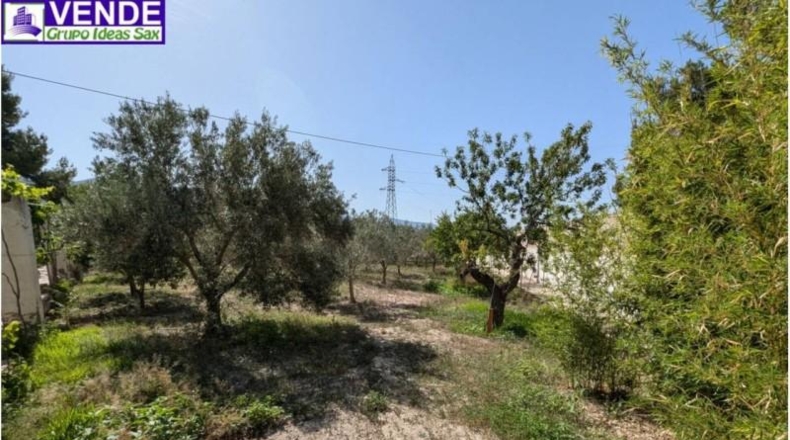 Alicante - Petrer - 8000m2