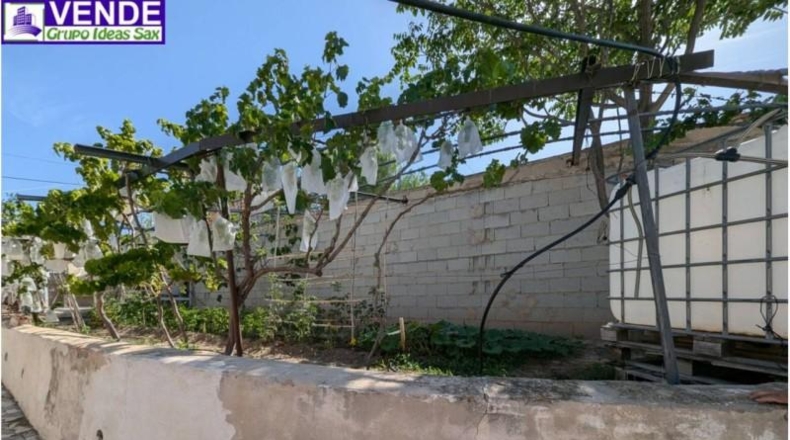 Alicante - Petrer - 8000m2