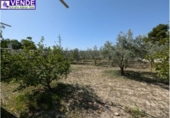 Casa de camp amb terreny en venda a la España, Petrer, ref.: TR170162 foto