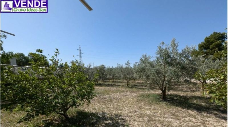 Alicante - Petrer - 8000m2