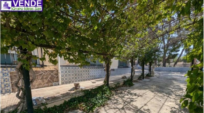 Alicante - Petrer - 8000m2
