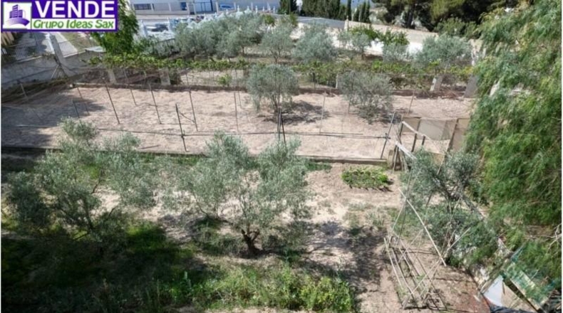 Alicante - Petrer - 8000m2