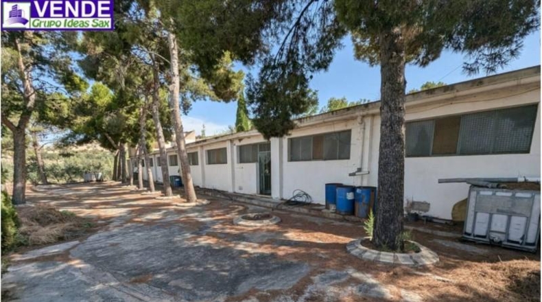 Alicante - Petrer - 8000m2