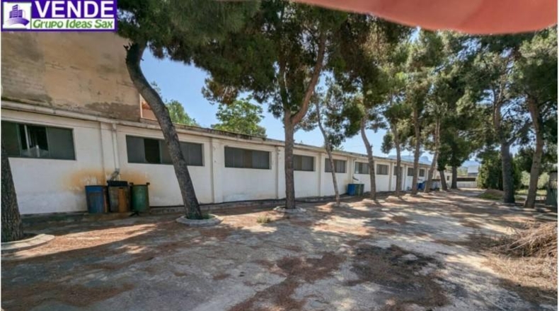 Alicante - Petrer - 8000m2