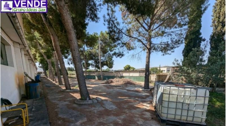 Alicante - Petrer - 8000m2