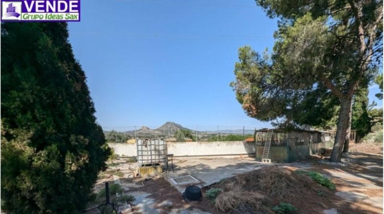 Alicante - Petrer - 8000m2