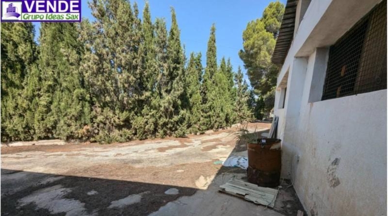 Alicante - Petrer - 8000m2