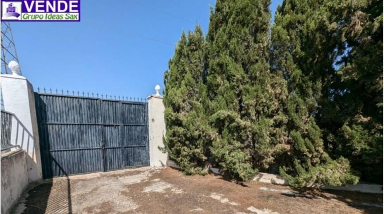 Alicante - Petrer - 8000m2