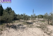 Casa de camp amb terreny en venda a la España, Petrer, ref.: TR170162 foto
