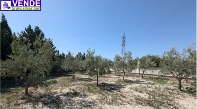 Alicante - Petrer - 8000m2