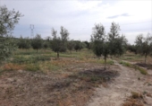 Terreno no urbanizable en venta en la España, Lucena, ref: TR194528 foto