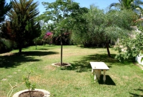 Villanueva del Río y Minas 1606&nbsp;m² 