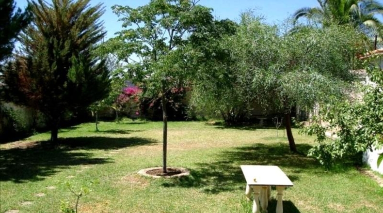 Seville - Villanueva del Río y Minas - 1606m2