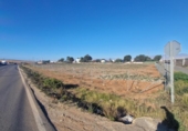 Terreny no urbanitzable en venda a la España, San Isidro de Níjar, ref.: TR228293 foto
