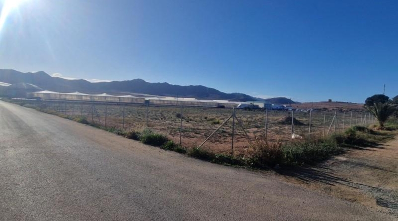Almeria - Níjar - 8214m2