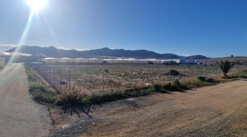 Almeria - Níjar - 8214m2