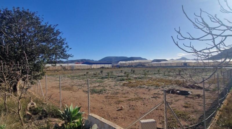 Almeria - Níjar - 8214m2