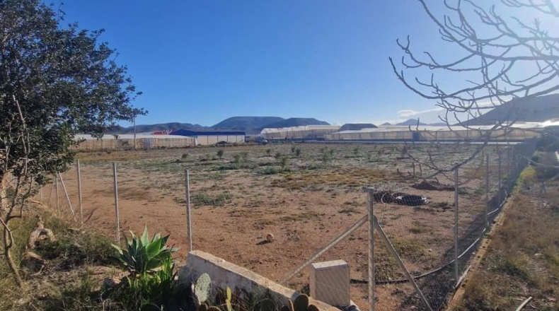 Almeria - Níjar - 8214m2