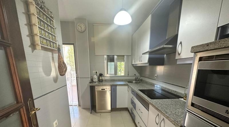 Córdoba - Córdoba - 650m2
