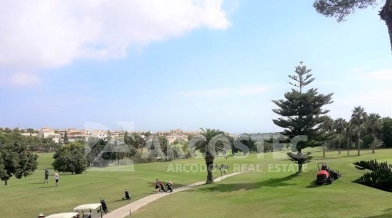 Alicante - Orihuela - 1189m2