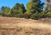 Urban land for sale on España, Torrent, ref: TR119401 photo
