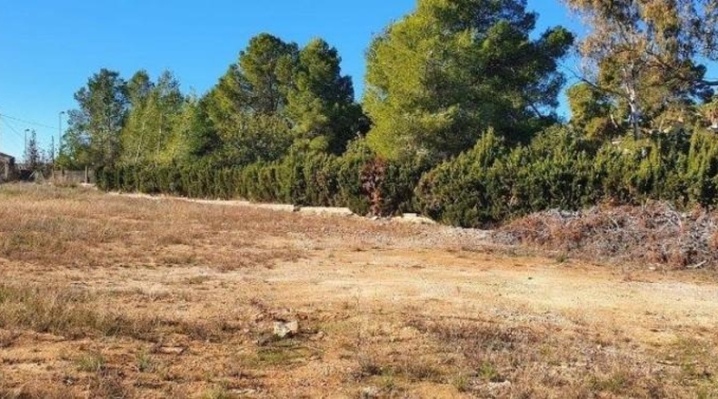 València - Torrente - 2500m2