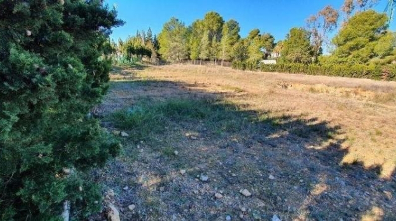 València - Torrente - 2500m2