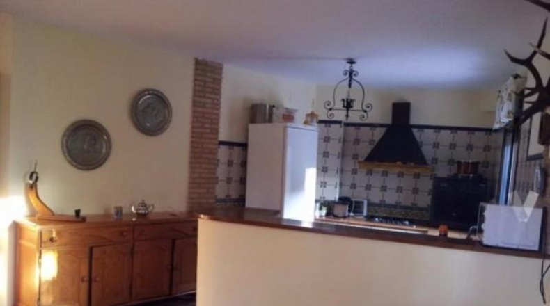 Córdoba - Córdoba - 3000m2