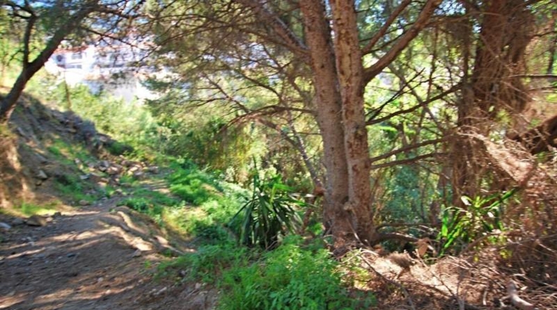 Málaga - Benalmádena - 1000m2