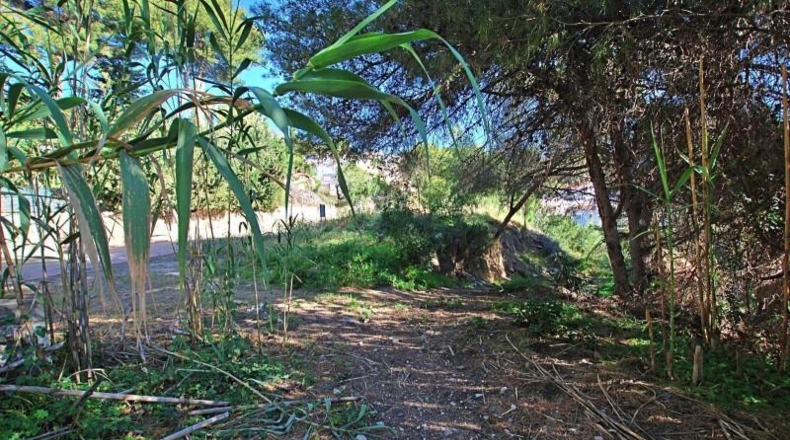Málaga - Benalmádena - 1000m2