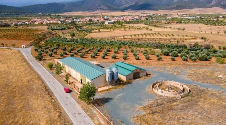 Granada - Cogollos de Guadix - 126000m2