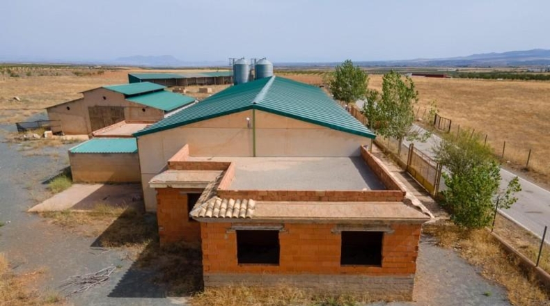 Granada - Cogollos de Guadix - 126000m2