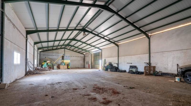 Granada - Cogollos de Guadix - 126000m2