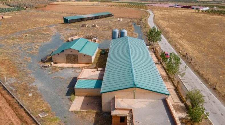 Granada - Cogollos de Guadix - 126000m2