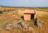 Terreno no urbanizable en venta en la España, Cogollos de Guadix, ref: TR124344 foto
