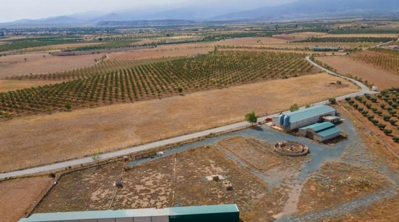 Granada - Cogollos de Guadix - 126000m2