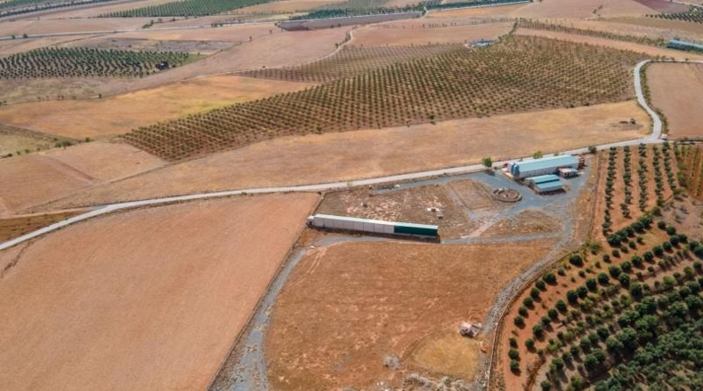 Granada - Cogollos de Guadix - 126000m2