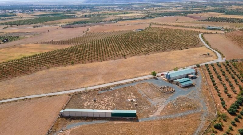 Granada - Cogollos de Guadix - 126000m2