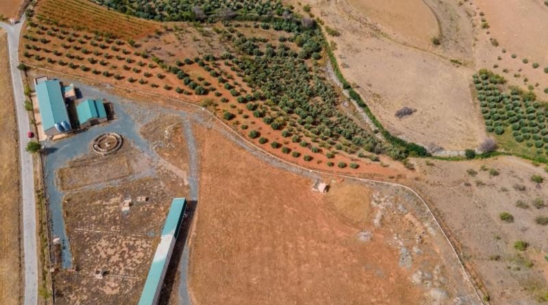 Granada - Cogollos de Guadix - 126000m2