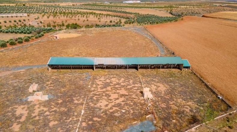 Granada - Cogollos de Guadix - 126000m2