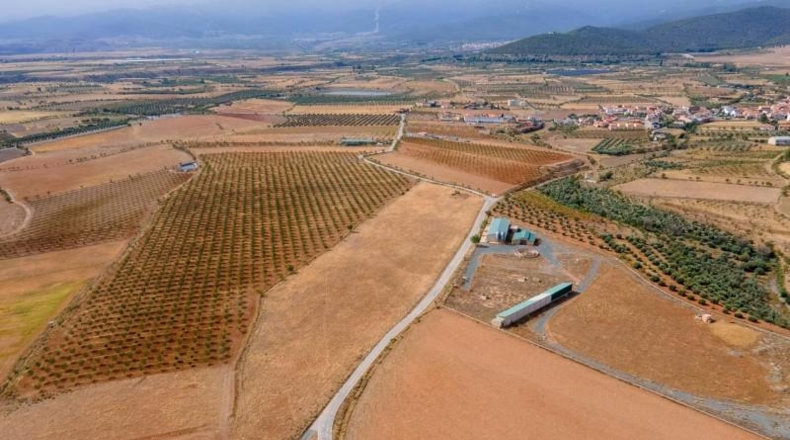 Granada - Cogollos de Guadix - 126000m2