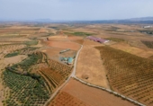 Terreno no urbanizable en venta en la España, Cogollos de Guadix, ref: TR124344 foto